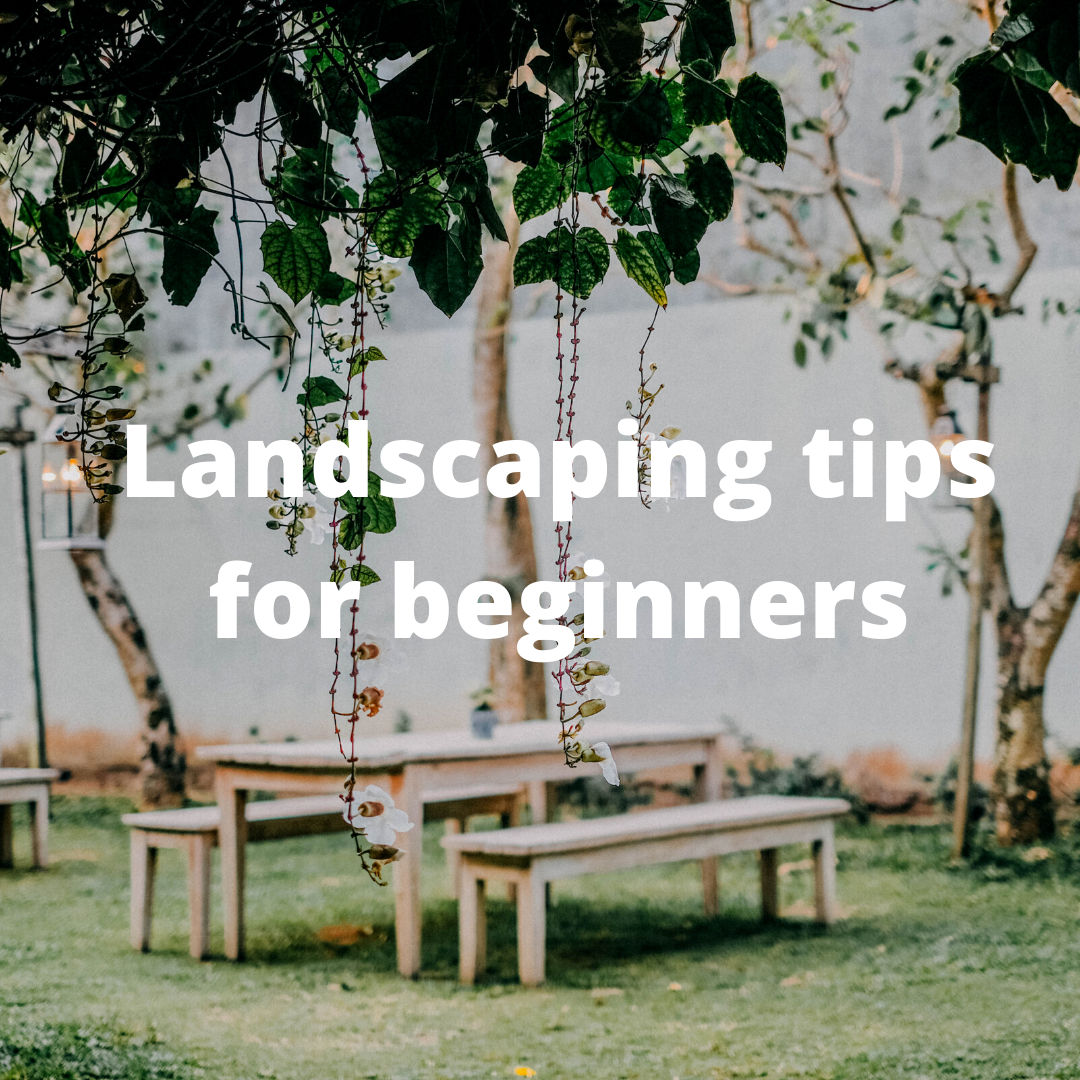 Landscaping tips for beginners